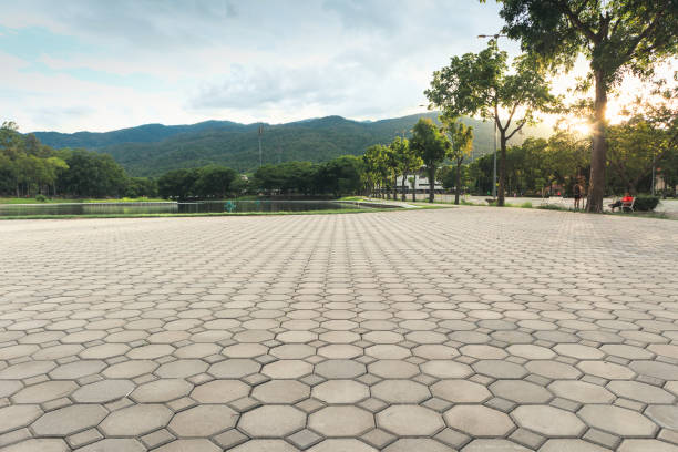 Best Interlocking Driveway Pavers  in Wellman, IA